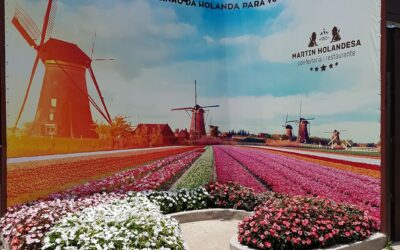 IDEIA DE CORNER PARA FOTOS EM GARDEN CENTERS