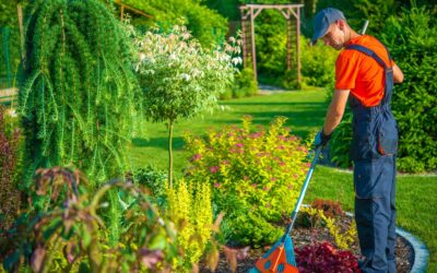 MODELO DE POSTAGEM PARA PROMOVER VENDA DE JARDINAGEM PARA CONDOMINIOS