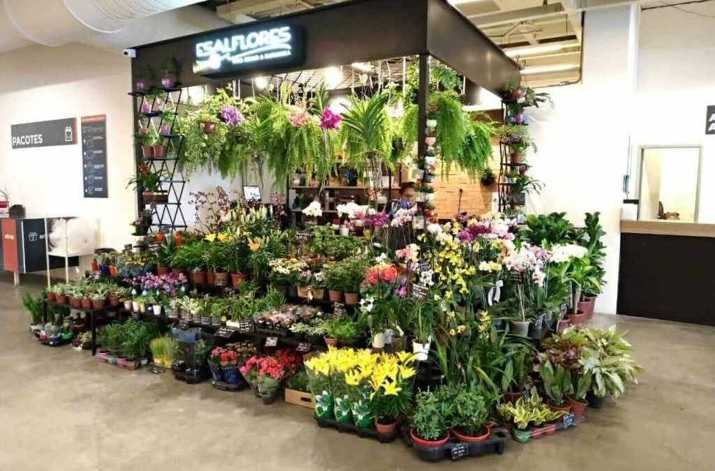 MODELO STORE IN STORE EM FLORES