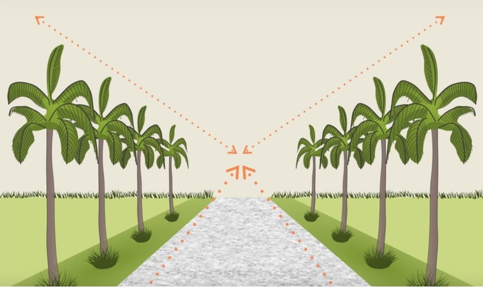 Elementos chave de Paisagismo: marcos visuais, eixos, escalas, visadas e sensorialidade