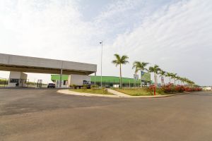 INAUGURACAO DO CEAFLOR E UMA ATUALIZACAO SOBRE O TAMANHO DO MERCADO DE ORNAMENTAIS NO BRASIL
