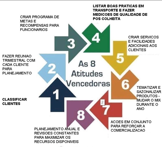 O MODELO DE ECOSSISTEMA DE NEGOCIOS COMO NOVO FORMATO PARA COMERCIALIZACAO DE FLORES E PLANTAS