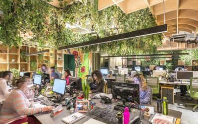 Biofilia – paisagismo corporativo in door – esse pode ser seu novo negocio!