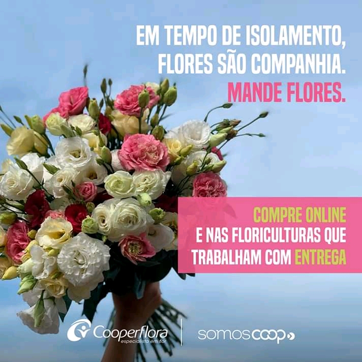 Uma imagem contendo planta, flor, mesa, segurando

Descrição gerada automaticamente