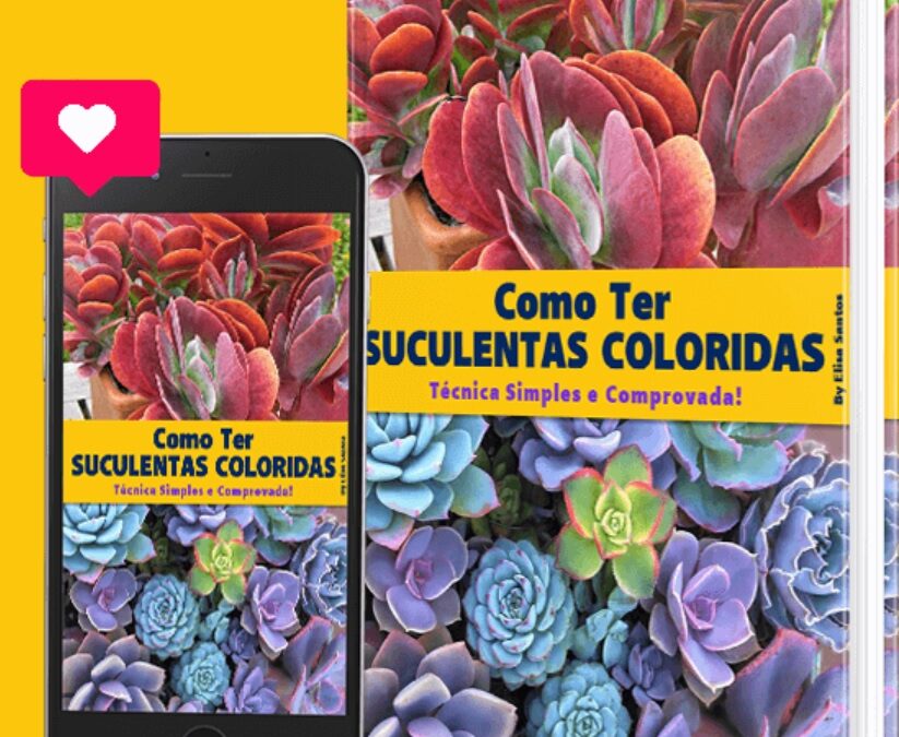 APRENDA COMO FAZER SUCULENTAS COLORIDAS