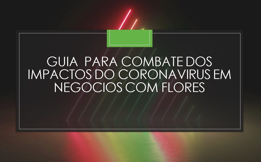 VIDEO RESUMO SOBRE O GUIA DE COMO COMBATER OS IMPACTOS ECONOMICOS DA CRISE