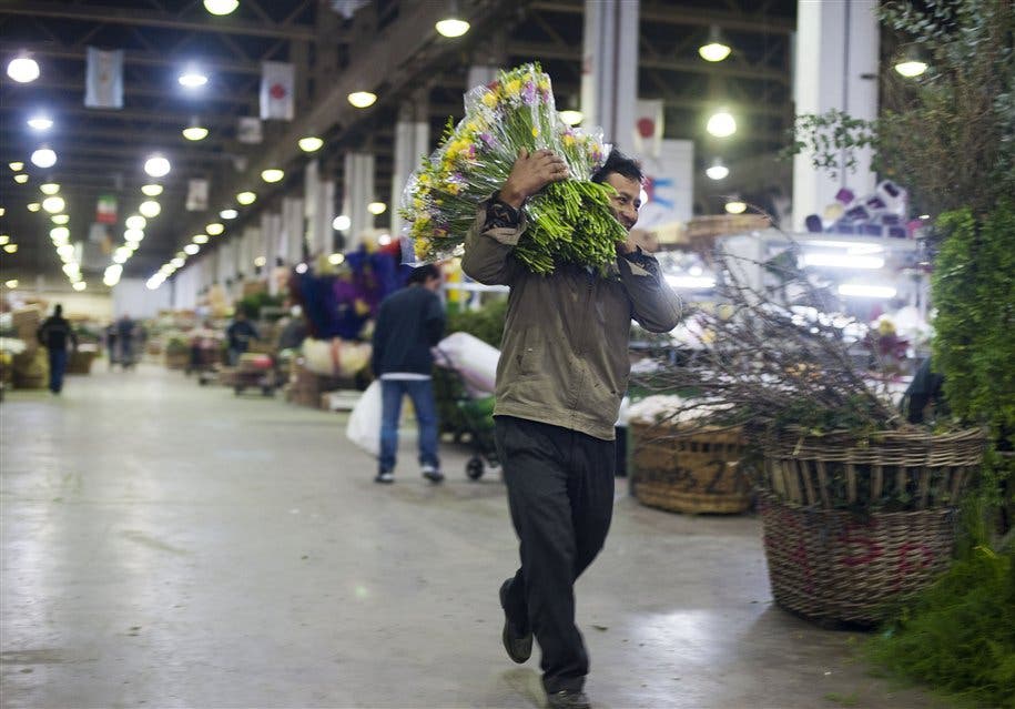 SITUAÇÃO DE MERCADO – ARGENTINA