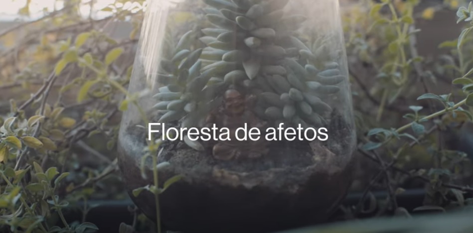 FLORESTA DE AFETOS