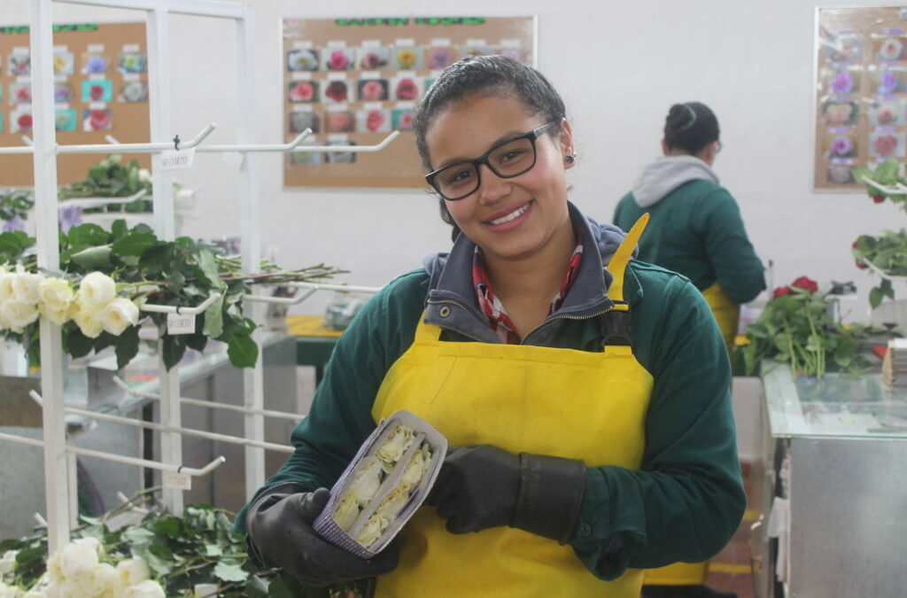 Asocolflores ativa seu ‘Plano de Pétalas’ para o Dia das Mães