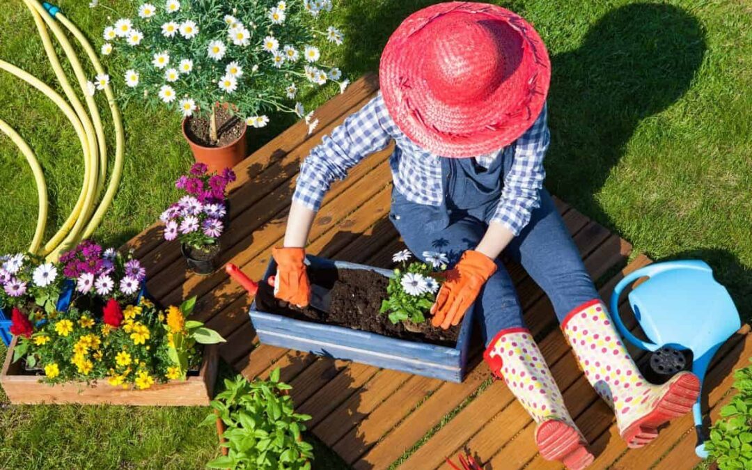 CIENCIA COMPROVA BENEFICIOS DA JARDINAGEM PARA A SAUDE