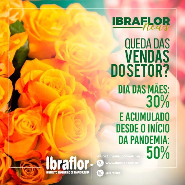 impactos da pandemia no mercado de flores – dados IBRAFLOR