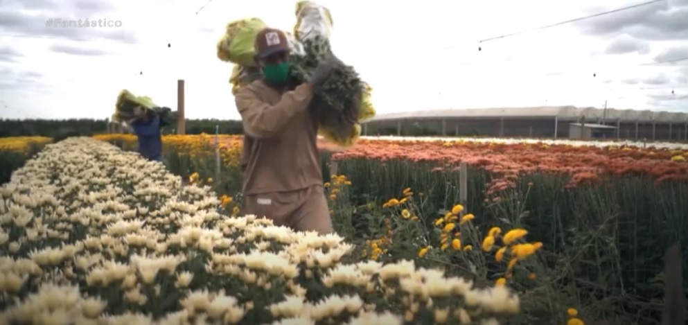 E É POR ISSO QUE AS FLORES SAO UM PRODUTO ESSENCIAL PARA O MUNDO NOVO QUE VIVEREMOS!