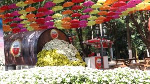 39ª Expoflora será adiada para 2021