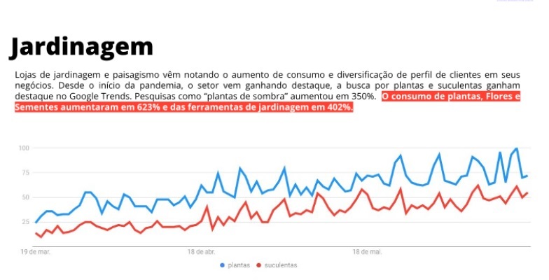 O MERCADO DE PLANTAS TEM GRANDE CRESCIMENTO PÓS PANDEMIA!