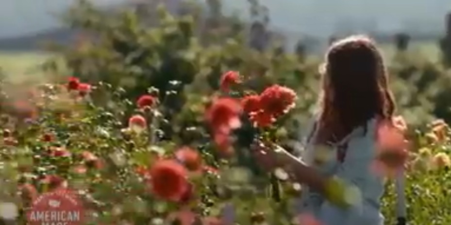 FLORET FLOWERS – um caso inspirador de pequeno produtor regional de flores de corte