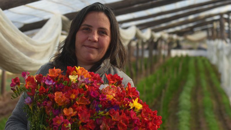 PERFIL DA PRODUÇÃO DE FLORES NA ARGENTINA