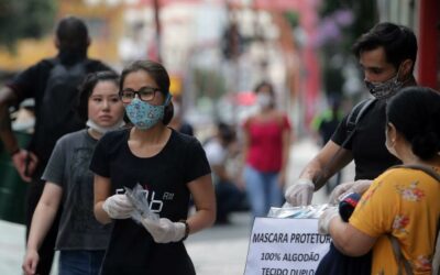 QUER SABER DE ONDE VEM A DEMANDA DE PLANTAS E COMO ELA SE SUSTENTARA EM 2021?