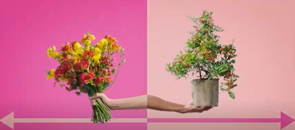 BLOEMEN BUREAU HOLLAND (agencia de promoção das flores holandesas) lança campanha – “preencha a distancia com flores!”