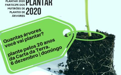 TEMPO DE PLANTAR! QUE TAL SUA LOJA LIDERAR ESSA CAMPANHA NA SUA CIDADE?