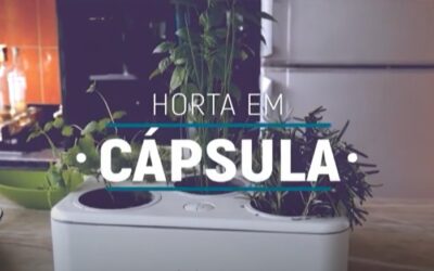 INOVACAO – HORTA EM CAPSULAS