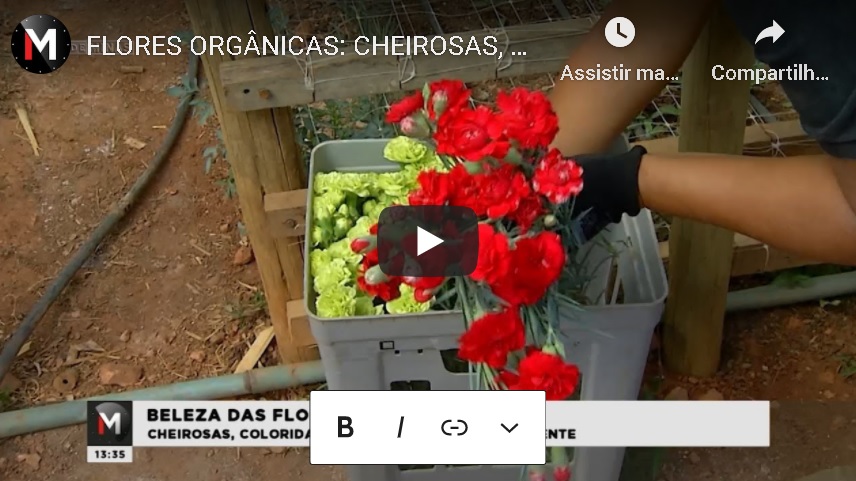 FLORES ORGANICAS E CHEIROSAS!