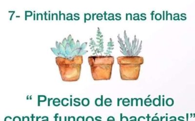 ORIENTANDO CLIENTES SOBRE PROBLEMAS COM SUAS PLANTAS