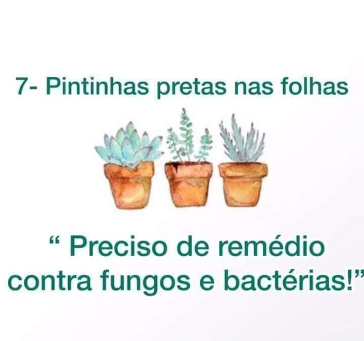 ORIENTANDO CLIENTES SOBRE PROBLEMAS COM SUAS PLANTAS