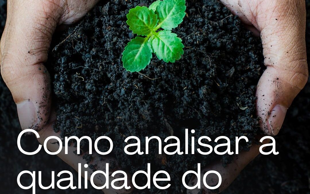 MODELO DE POSTAGEM – COMO SABER SE O SOLO PRECISA DE MAIS AGUA