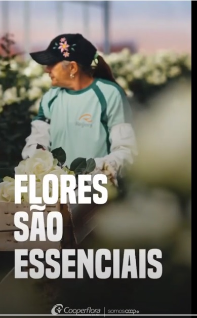 PORQUE FLORES SAO ESSENCIAIS! CAMPANHA COOPERFLORA