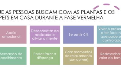 O QUE AS PESSOAS PROCURAM NAS PLANTAS E NOS PETS – REALINHE SEUS CONTEUDOS!