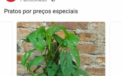IFOOD – UM NOVO CANAL DE VENDAS PRA VOCE PENSAR…