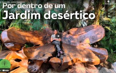 OLHA QUE VIDEO LEGAL SOBRE JARDINS DESERTICOS