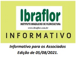 MOMENTO DE MERCADO – IBRAFLOR