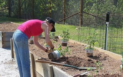 Por que a jardinagem faz bem para a sua saúde