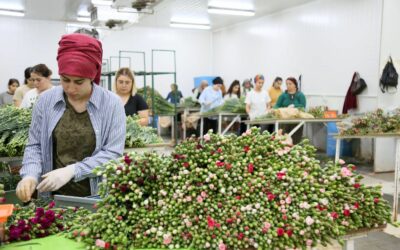 LUTO PELA RAINHA ELIZABETH II ALTERA FORTEMENTE A ROTINA DO MERCADO INTERNACIONAL DE FLORES