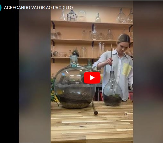 AGREGANDO VALOR AO PRODUTO