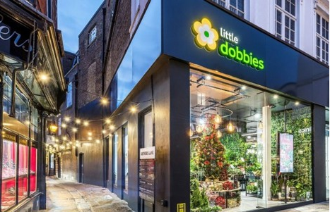 Garden Centres oferece sementes gratuitas em parceria com a Let It Grow