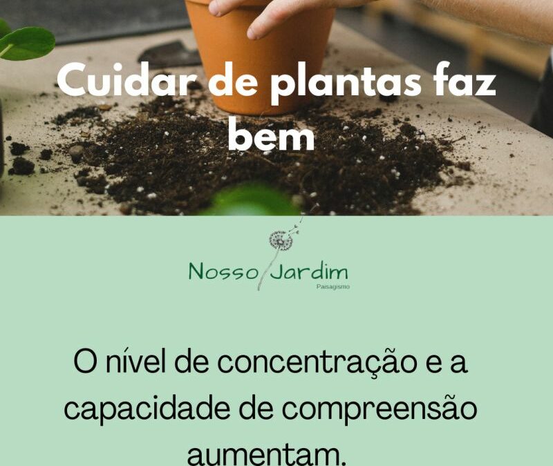 beneficios das plantas em empresas