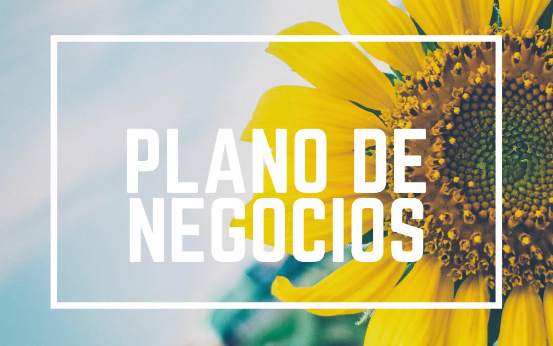 CONSULTORIA EM PLANO DE NEGOCIOS