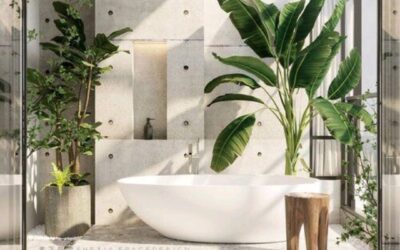 PLANTAS PARA BANHEIRO