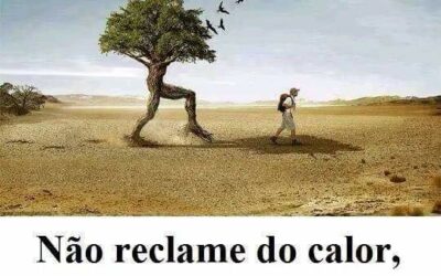 DE MOTIVO