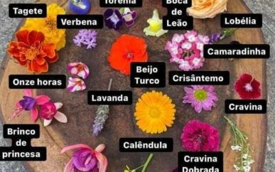 A FALIMIA DAS PRINCIPAIS FLORES DE CORTE