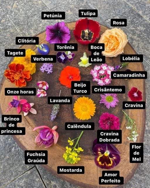 A FALIMIA DAS PRINCIPAIS FLORES DE CORTE