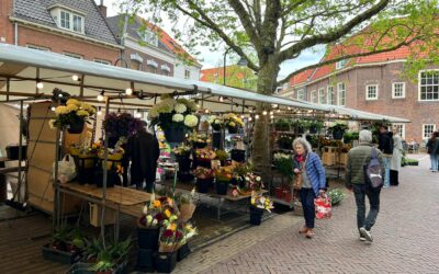 HOJE DAS CALÇADAS EM DELFT-HOLANDA