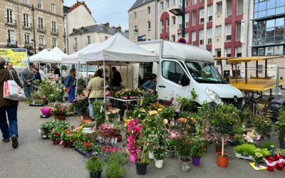 FLORICULTURAS EM PARIS