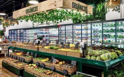 QUE TAL UMA SECAO DE ORGANICOS NA SUA LOJA?
