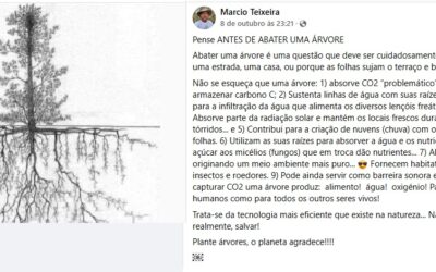 SOBRE A DERRUBADA DE ARVORES