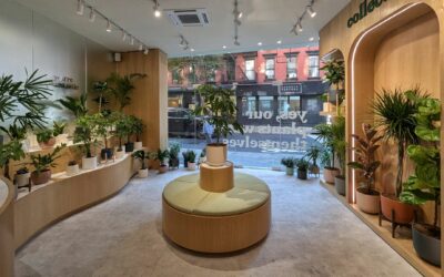 MODELO DE LOJA – EASYPLANT – SOHO – NEW YORK