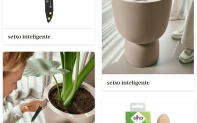 SEIXO INTELIGENTE