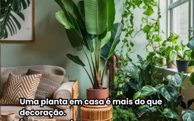 OLHA ESSE MODELO E POST QUE TRATA DO IMPACTO E DO APELO DAS PLANTAS